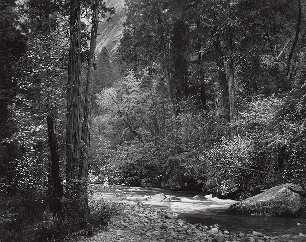 Ansel-Adams---Tenaya-Creek,-Spring-Rain,-1948