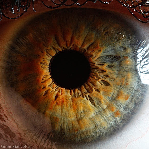 human-eyes-close-up-enpundit-10