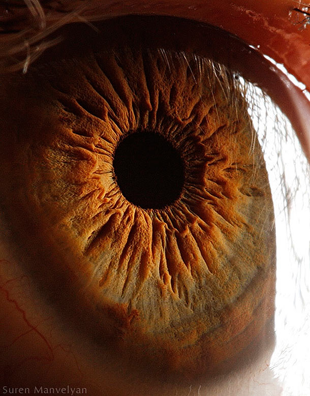 human-eyes-close-up-enpundit-7